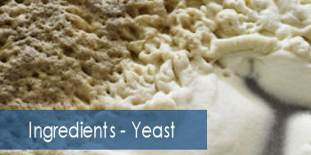 Ingredients - Yeast