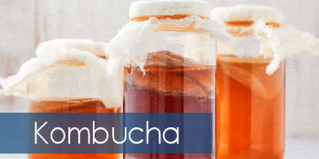 Kombucha & Ferments