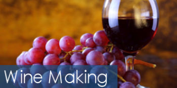 Wine Making