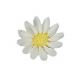 Royal Icing 1.25 inch White Daisy 6 pieces