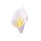 Gumpaste 1.5 inch Calla Lily