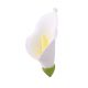 Gumpaste 2.5 inch Calla Lily