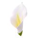 Gumpaste 5 inch Calla Lily