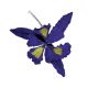 Gumpaste 5 inch Blue Dutch Iris