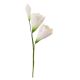 Gumpaste 3 inch Ivory Freesia Spray