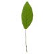 Gumpaste 2.5 inch Green Leaf 5 pieces