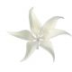 Gumpaste White Lily Flower