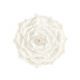 Gumpaste Briar Rose XL White