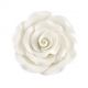 Gumpaste 2.5 inch White Rose