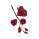 Gumpaste 2.75 inch Red Rose Filler