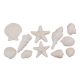 Gumpaste Beige Seashell Mix 9 pieces