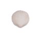 Gumpaste Beige Large Clam Shell 6 pieces