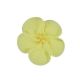 Royal Icing Wild Rose Yellow 6 pc