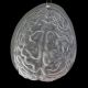 Brain 3D Gelatin Mold