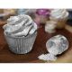 Silver Edible Tinker Dust Glitter 5g