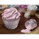 Soft Pink Edible Tinker Dust Glitter 5g