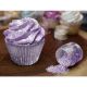 Pollipop Purple Edible Tinker Dust Glitter 5g