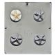 Starfish Cookie Chocolate Mold