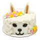 Pet Creation Cake Decoration Kit