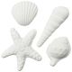 Gumpaste 2 to 3 inch Seashell