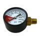 Gauge 2000 LB 1/4 MPT RHT