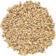 Briess Brewers 2 Row Malt Grain 50 LB