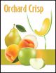 Orchard Crisp Wine Labels 30 pieces