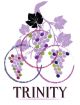 Trinity Wine Labels 30 pieces