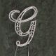 Silver Monogram G Rhinestone Pick