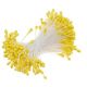 Stamens Yellow Pearl 144 pieces