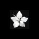 Gumpaste 3 inch White Gladiolus