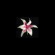 Gumpaste 4 inch Pink Rubrum Lily