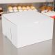 10x10x5 Cake Bakery Box - PICK UP ONLY