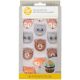 Royal Icing Camping Woodland Animal 12 pieces