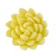 Royal Icing Yellow Chrysanthemum 4 pieces