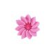 Royal Icing 1.25 inch Pink Daisy 8 pieces