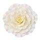 Gumpaste 6 inch Jumbo White Rose