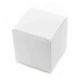 Truffle Box Large White 10 pieces