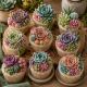 08-26-26 Succulent Cupcake Class