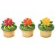 Hibiscus Luau Rings 6 pieces