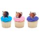 Afro Unicorn Magic Within Rings 6 pc