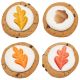 Acorn Leaves 1.5 inch Sugar Decoration 5 pieces