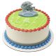 Miami Dolphins NFL Cake Kit
