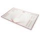 Silicone Baking Mat 23.25 x 15.25 with Guides