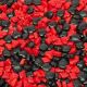 Poker Playing Card Casino Candy Sprinkles 4 oz