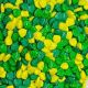 Monstera Leaves Candy Sprinkles 4 oz