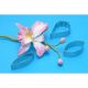 Cattleya Orchid Fondant Gumpaste Cutter