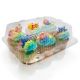 6 Jumbo Cupcake Showcake Clear Container