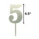 Silver Acrylic Pick Number 5