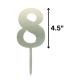 Silver Acrylic Pick Number 8